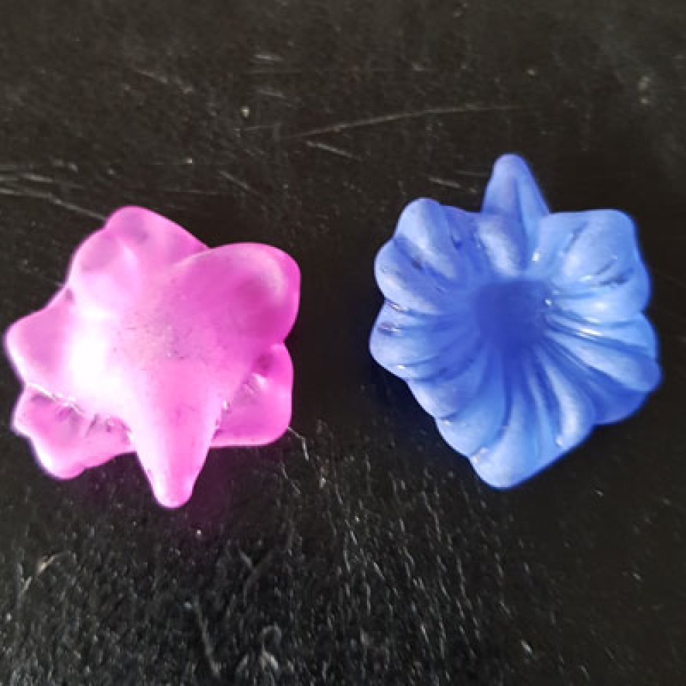 15 sorterade orkidéblommor