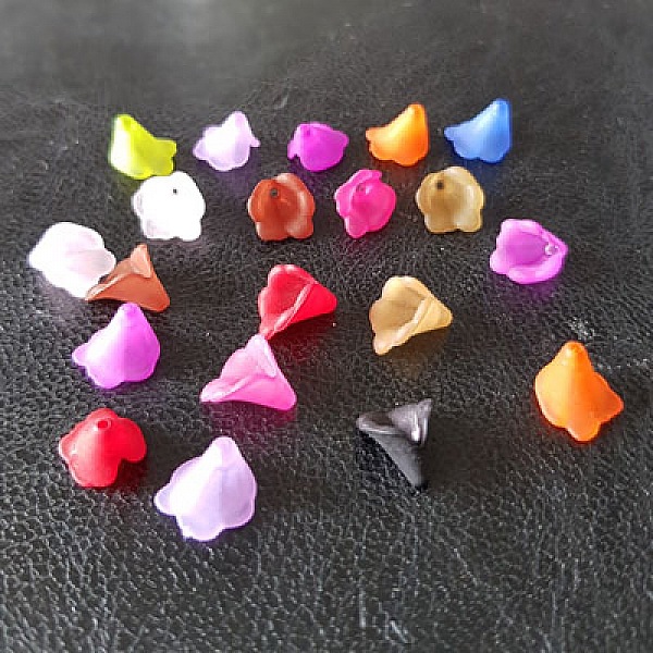 20 sorterade Calla Lily blommor