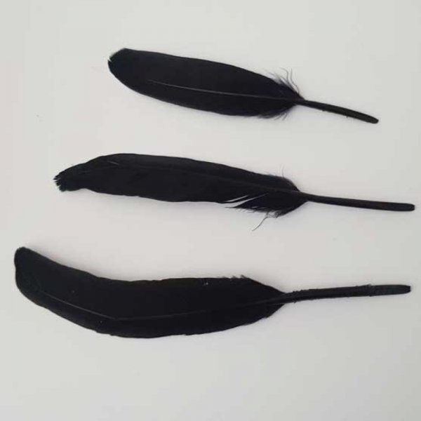 3 Plumes 15 cm N&deg;01 Noir