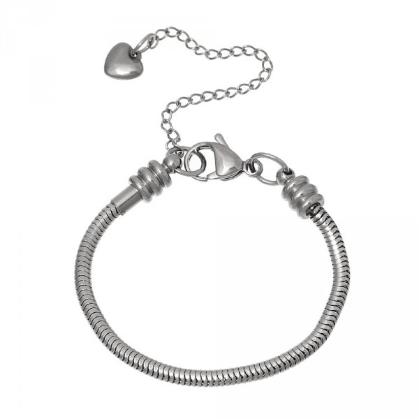 Bracelet Acier Inoxydable N&deg;05-02 Argent Fermoir Mousqueton 20 cm