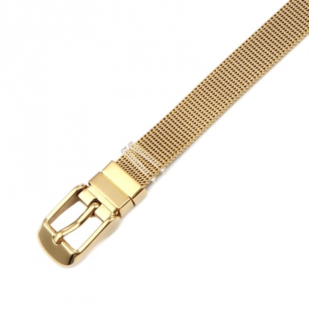 Rostfritt stål armband 10 mm guld