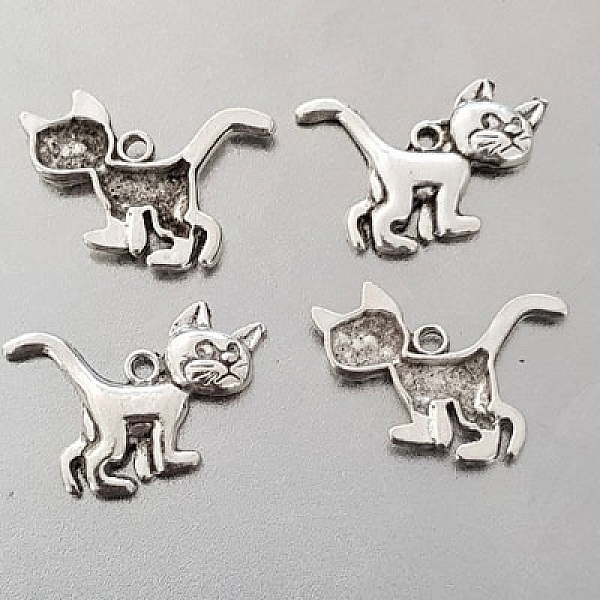 Cat Charm N&deg;21 x 10 stycken
