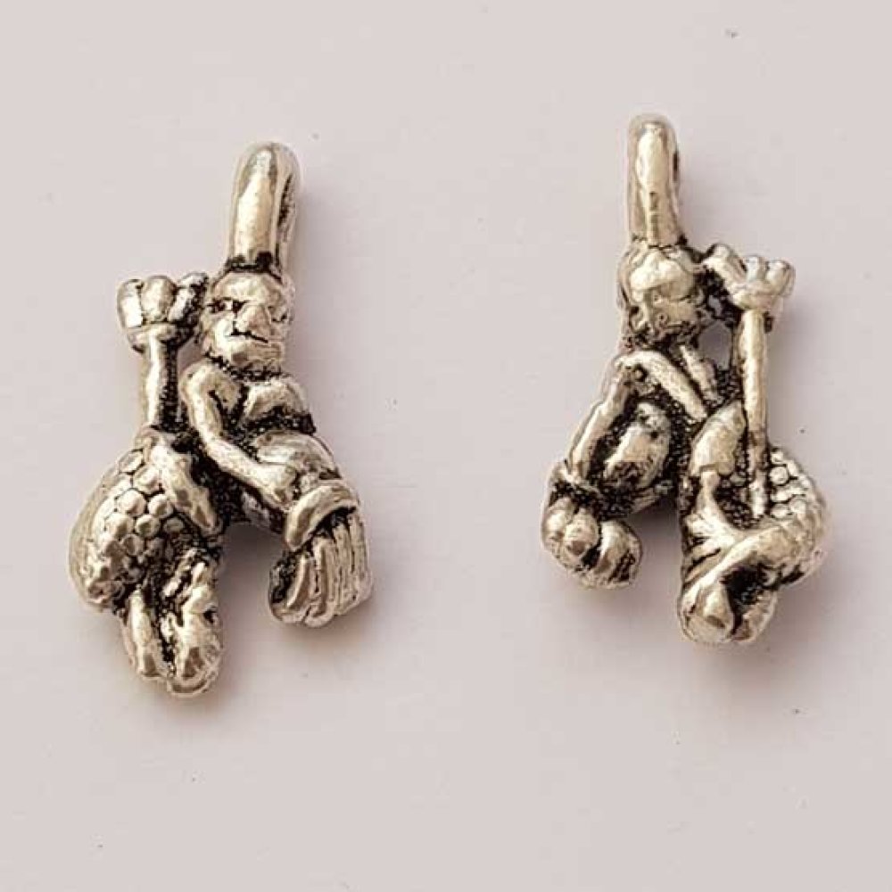 Aquarius stjärntecken Charm Silver Metal N°01