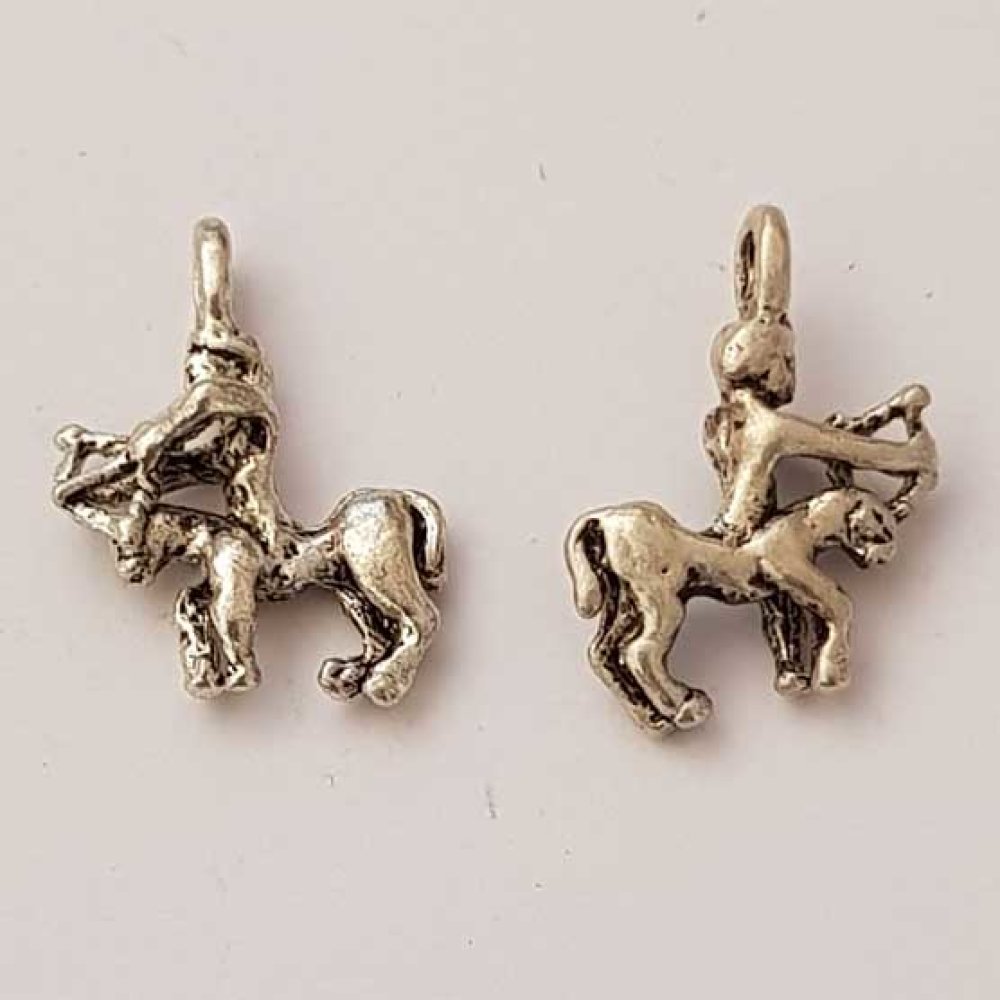 Stjärntecken charm Skytten Silver Metal N°01