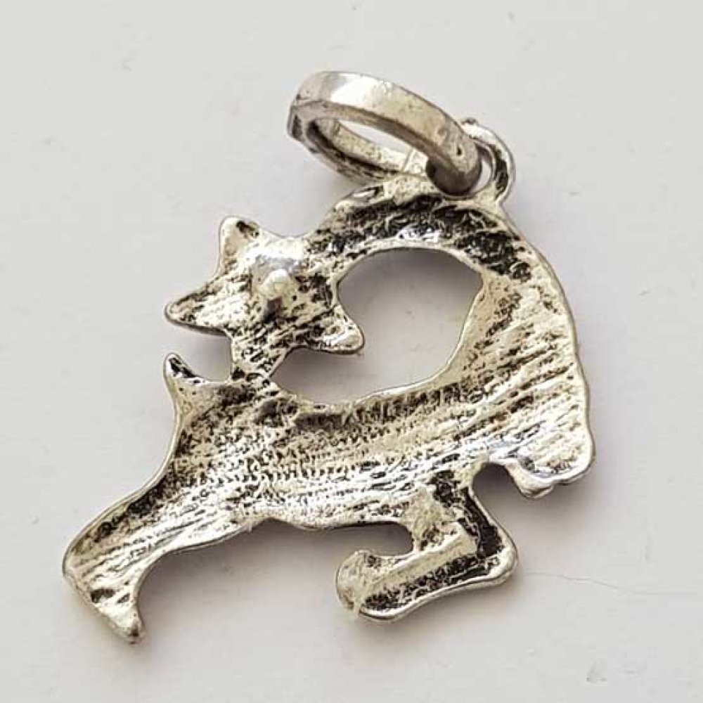 Stjärntecken charm Stenbocken silverpläterad N°03 med strass