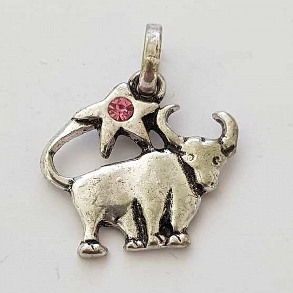 Stj&auml;rntecken charm Taurus Silver Metal N&deg;03 med strass