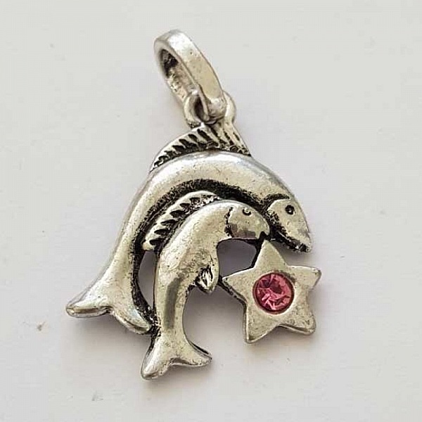 Stj&auml;rntecken Fiskarna Charm Silver Metal N&deg;03 med strass