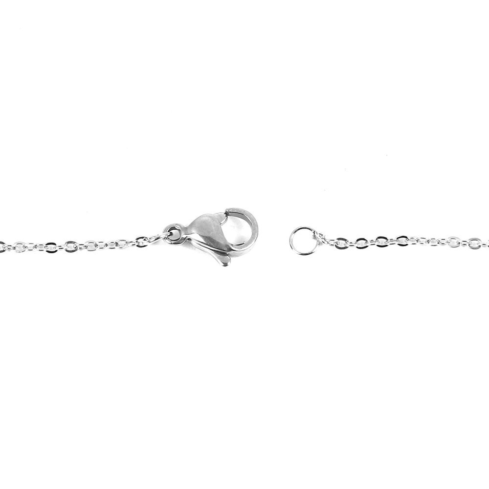 Halsband N°06-00 i rostfritt stål, 46 cm långt.