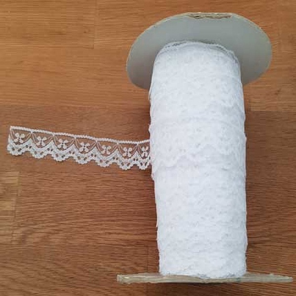 Dentelle Blanc Style Tulle 25 mm N&deg;01