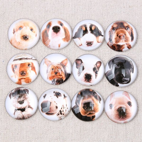 Lot 24 runda glas cabochons 25mm Blandad hund glas cabochon 