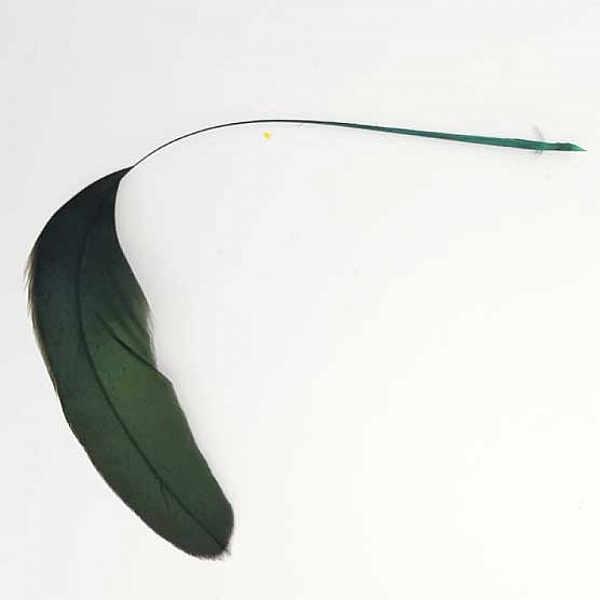Plume 16 cm N&deg;03 Vert