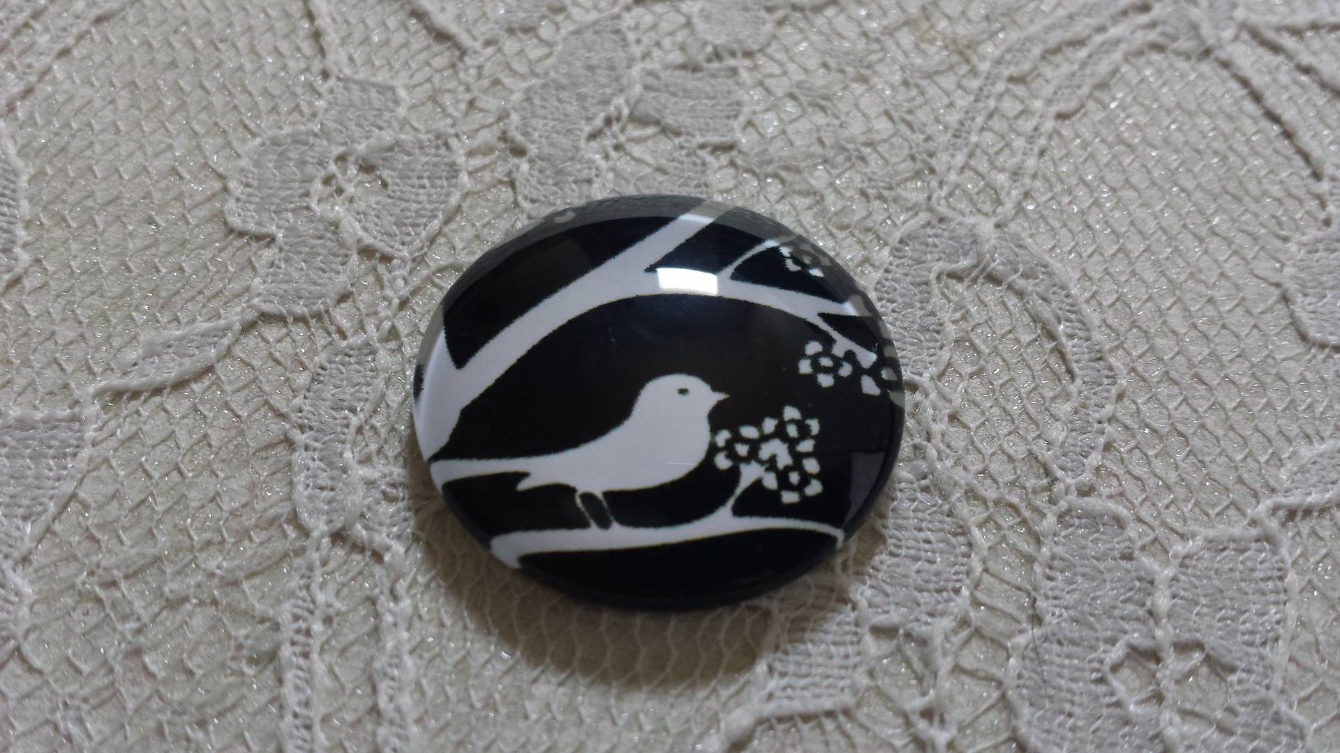 rund glas cabochon 10mm fåglar 021 