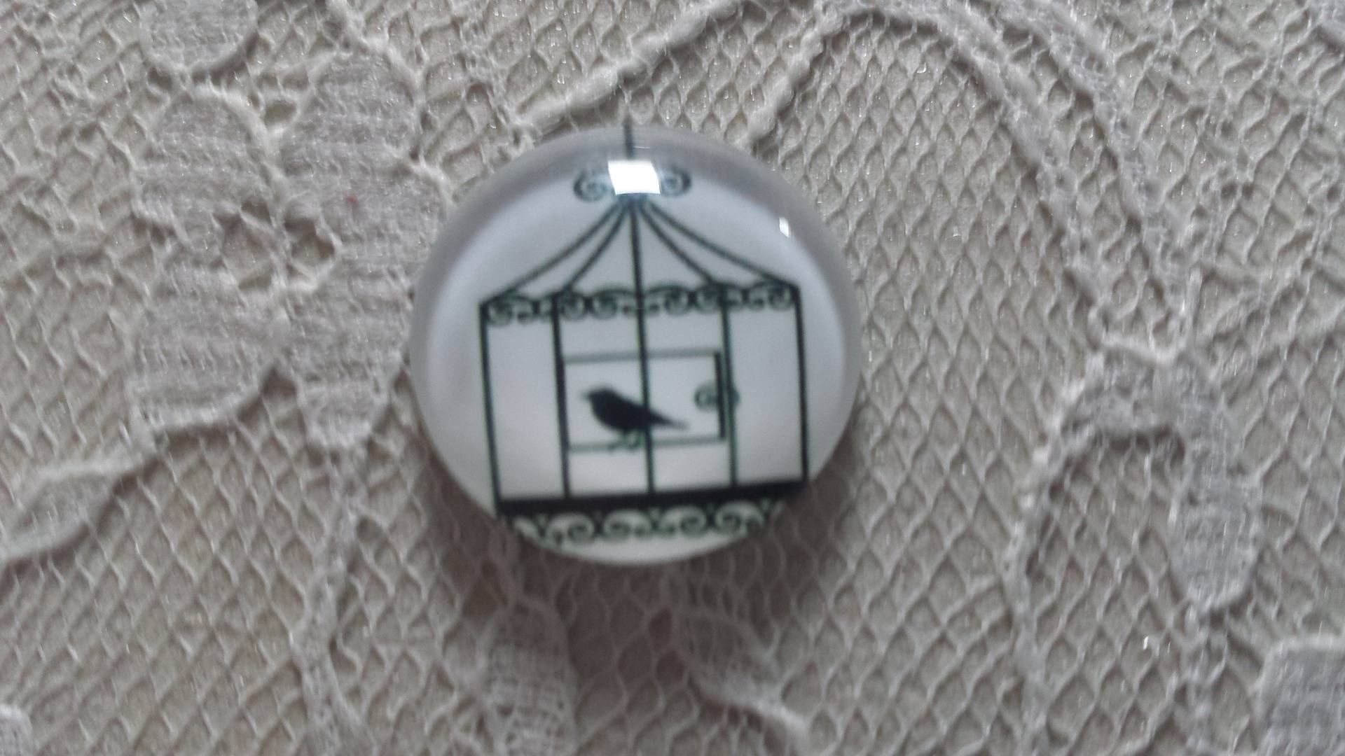rund glas cabochon 10mm fåglar 010 