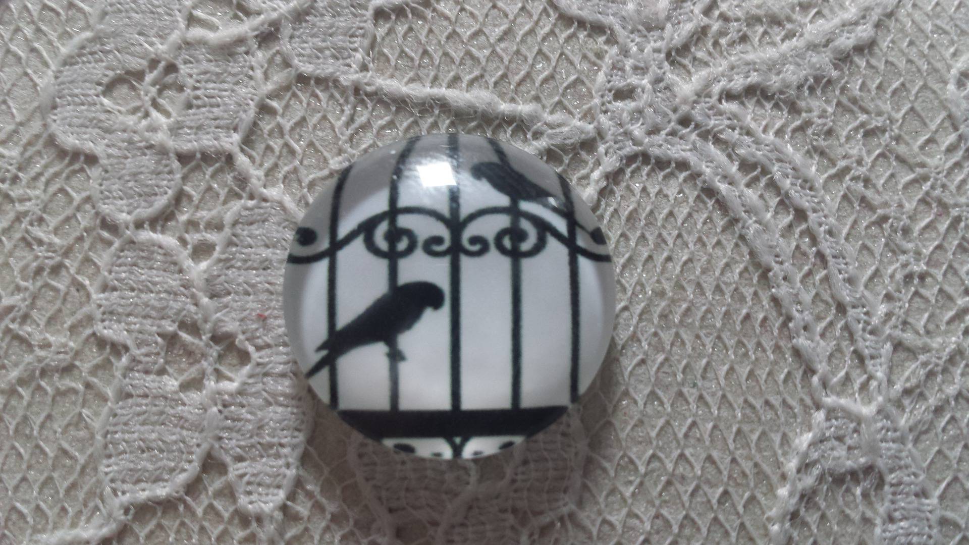 cabochon runt glas 10mm fåglar 008 