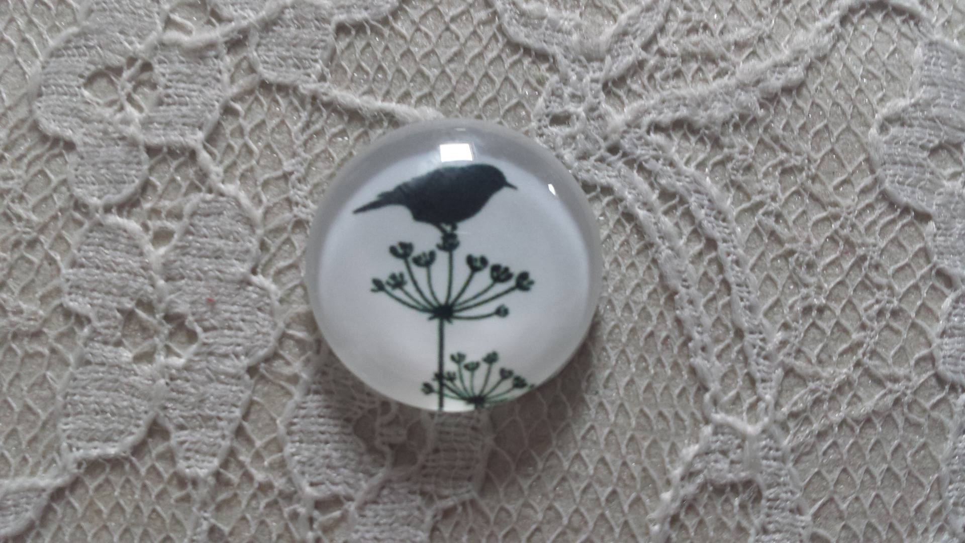 cabochon runt glas 20mm fåglar 019 