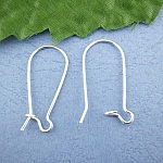 Örhängehållare Dormeuse 24mm N°02 x 40 par