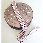 Fancy band N°059 per meter