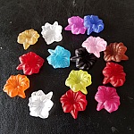 15 sorterade orkidéblommor