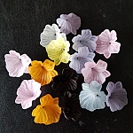 15 Blommor N°01 sorterade