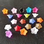 20 Förgätmigejblommor sorterade