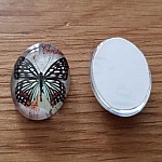 Cabochon oval 13 x 18 mm fjäril N°03