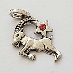 Stjärntecken charm Stenbocken silverpläterad N°03 med strass
