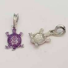 Sköldpaddans charm N°02