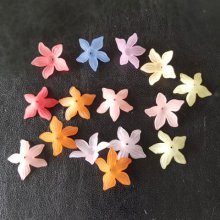 15 olika Forcicia-blommor