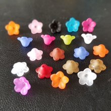 20 Förgätmigejblommor sorterade
