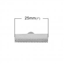 20 spännen 25 x 8 mm Silver