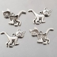 Cat Charm N°21 x 4 stycken