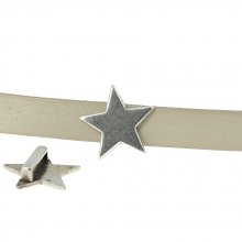 10 mm Zamakgenomföring N°49 Silver