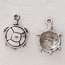 Sköldpaddans charm N°04