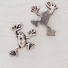 Groda charm N°01