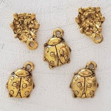 Beetle charm N°02 Guld