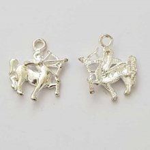 Stjärntecken charm Skytten Silver Metal N°05