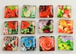 10 glascabochoner kvadratiska 20 mm sorterade blommor S-22-20-17
