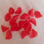 20 Blommor Arums röd liten modell