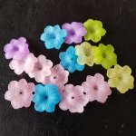 15 Blommor N°02 sorterade