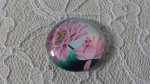 glas cabochon rund 25mm blomma 01-025 