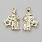 Vattumannen stjärntecken Charm Silver Metal N°04 med strass