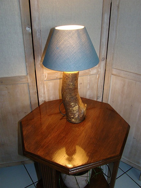 Skogslampa, naturen och dess underverk 