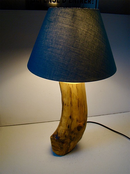 Skogslampa, naturen och dess underverk 