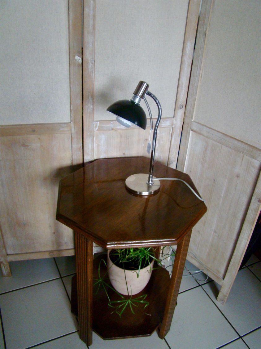 Liten skrivbordslampa till minipris