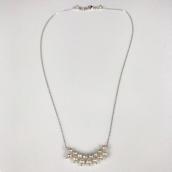 Halsband och h&auml;nge Silver 925