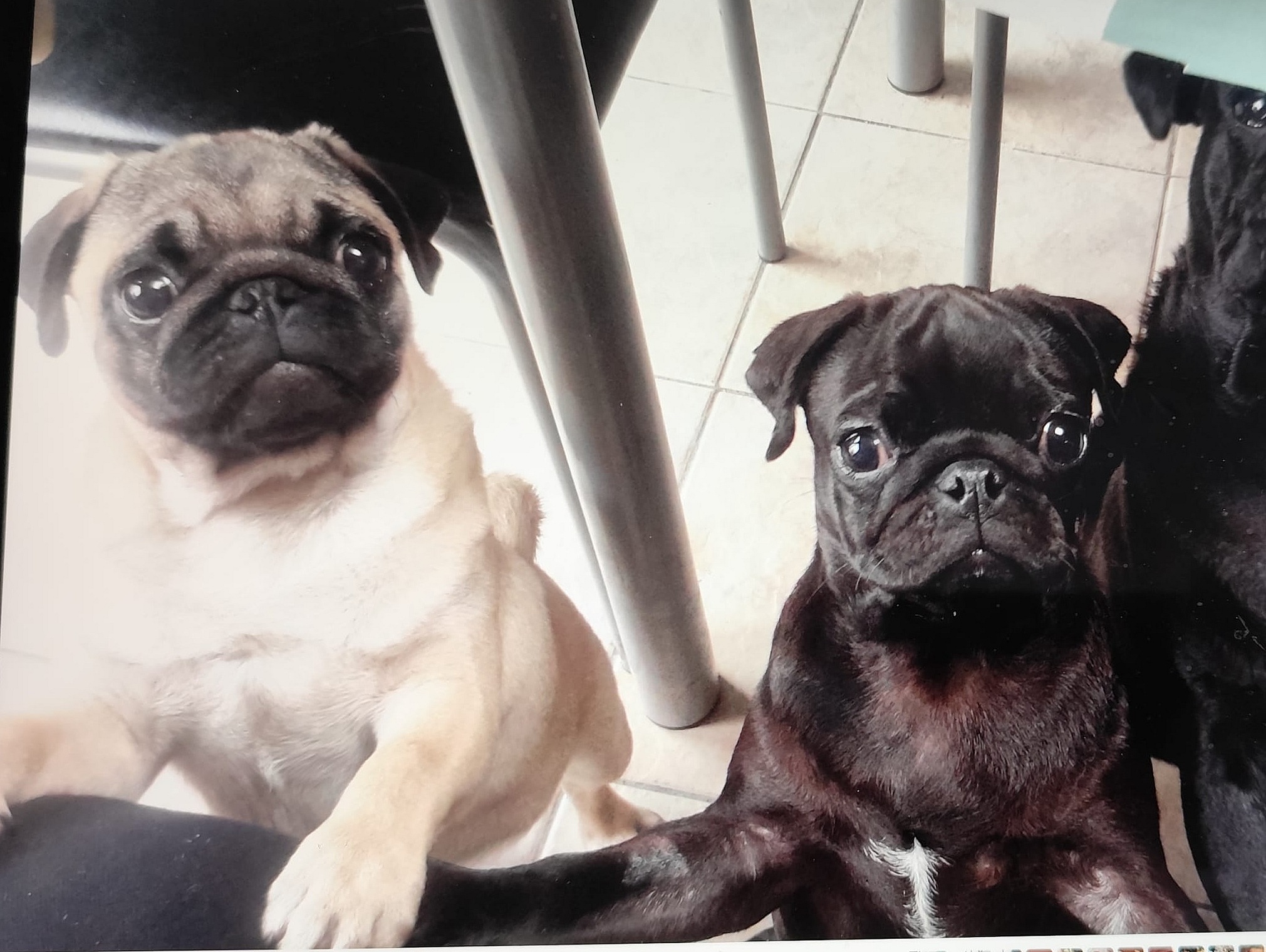 Une photo, votre &eacute;ventail, celui l&agrave; est en soie