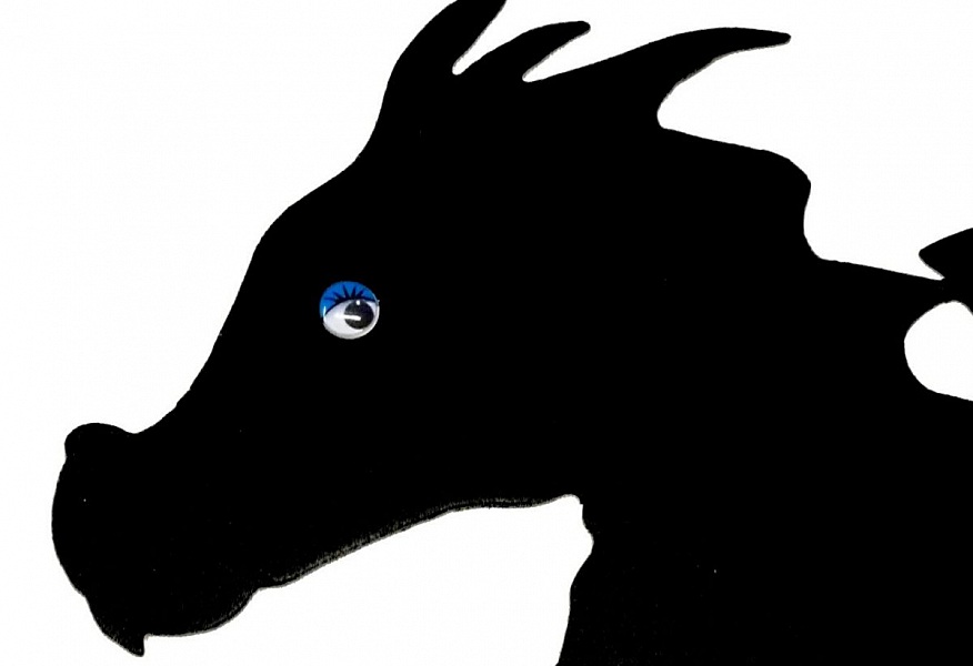 Tr&auml;skylt f&ouml;r v&auml;gg eller d&ouml;rr modell : drakbarn 40x28 cm svart